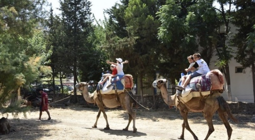 BODRUM TEKNE TUR ( Klasik )....
