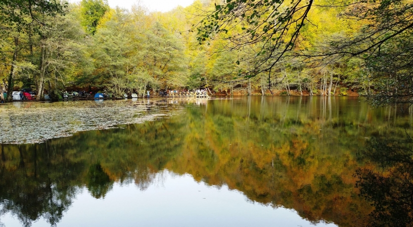 MAŞUKİYE ve SAPANCA GÖLÜ dahil olan BATI KARADENİZ