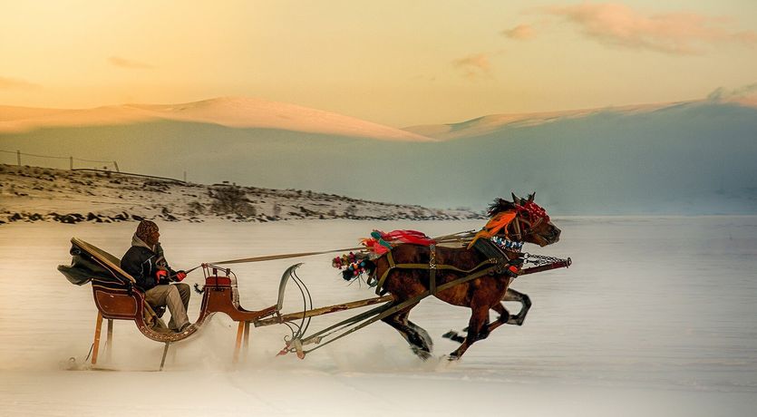 ERZURUM - KARS