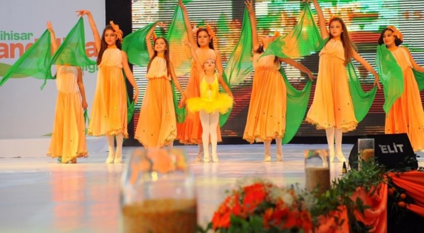 Seferihisar Mandalina Festivali