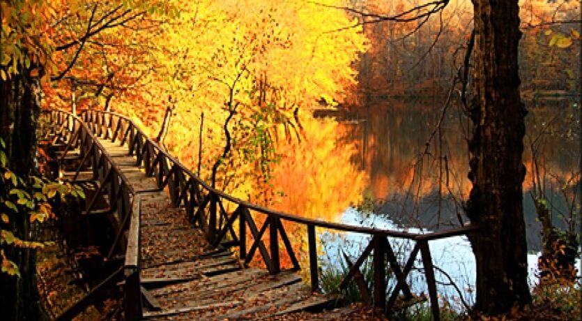 Sonbahar da YEDİGÖLLER