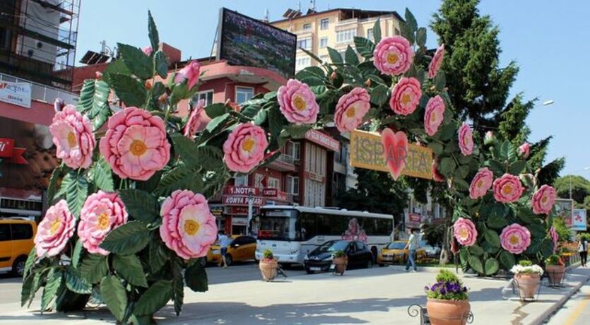 ISPARTA GÜL HASADI