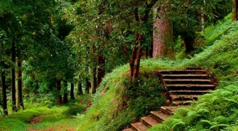 Uçaklı BATUM Turu ( Bayram Tatili )